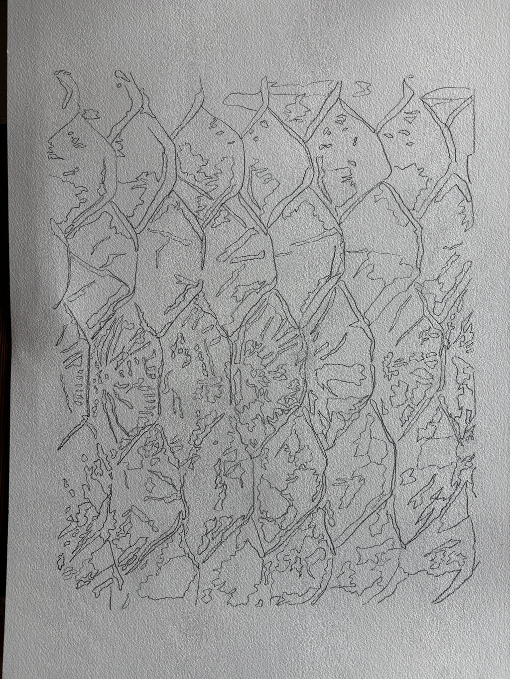 Tarpon Scale Commission