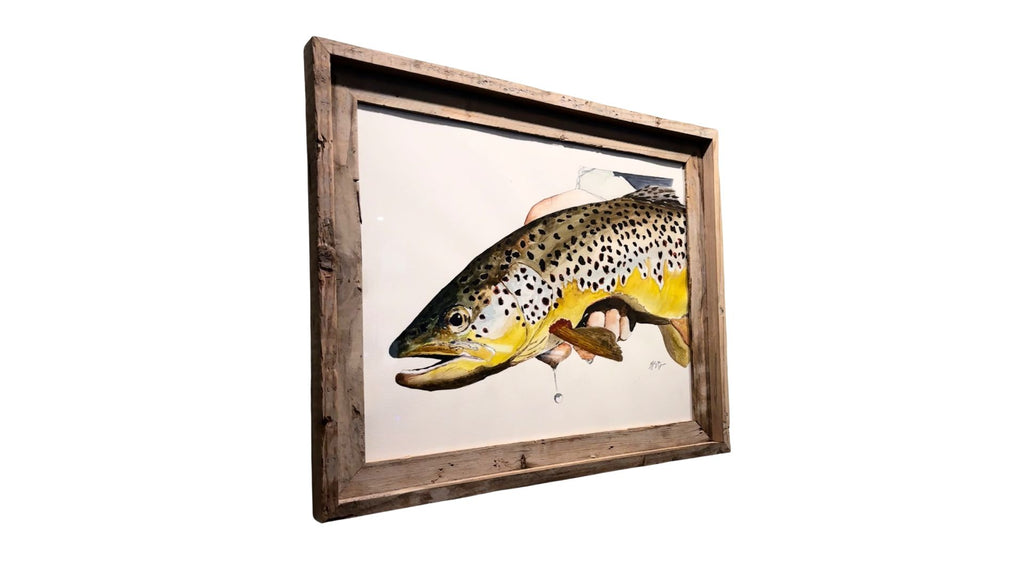 Brown Trout Commission