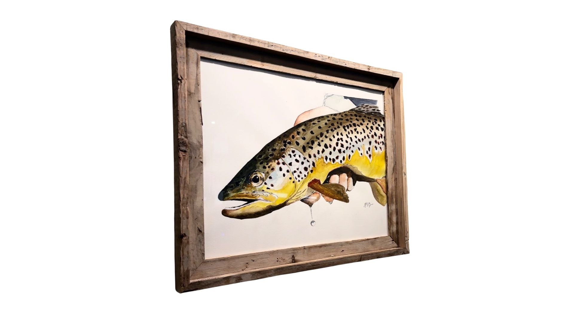 Brown Trout Commision