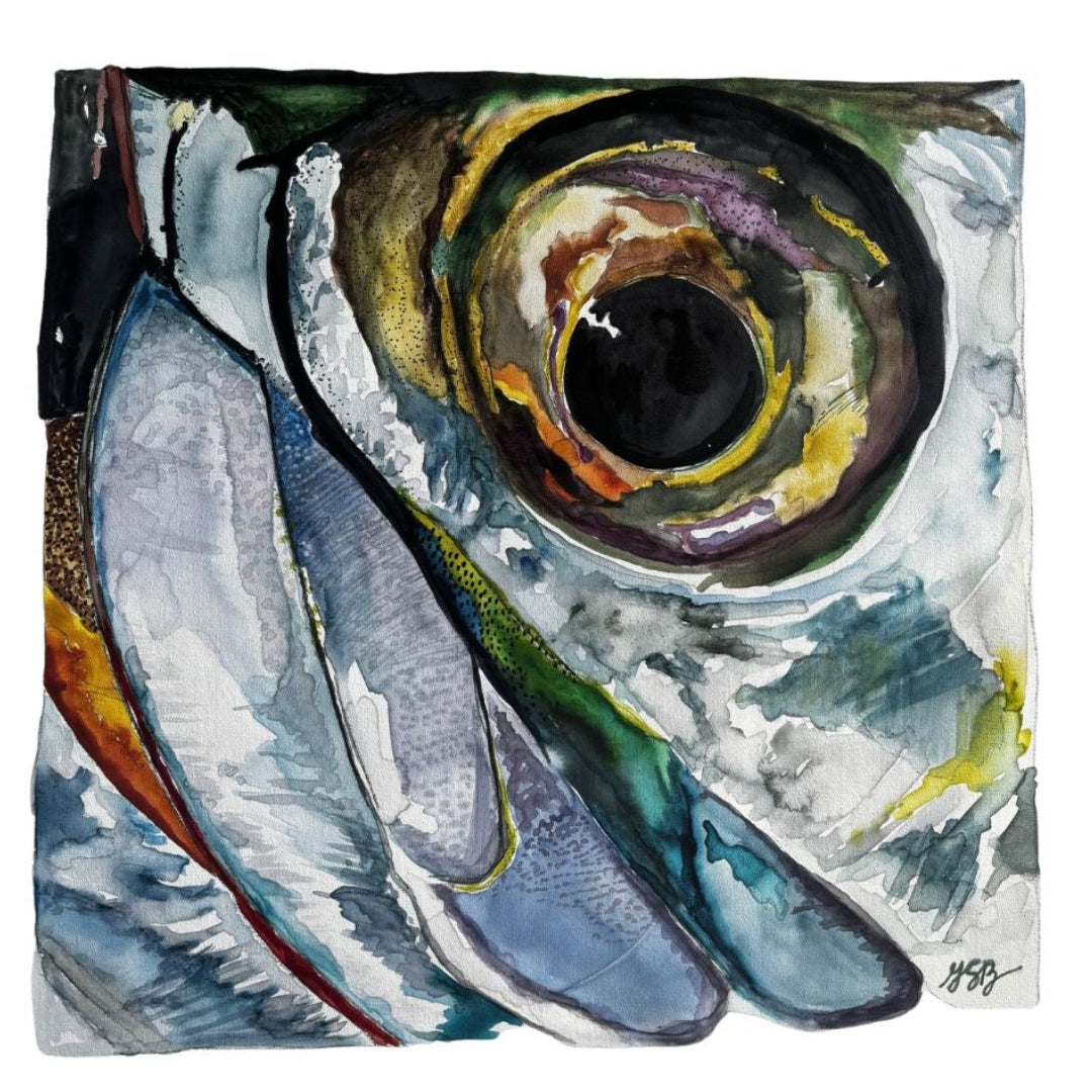 Tarpon Eye Commission