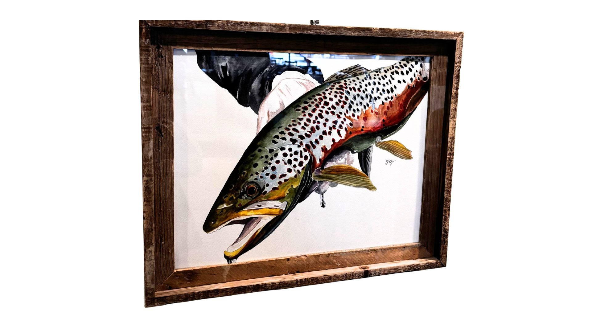 Brown Trout Commission