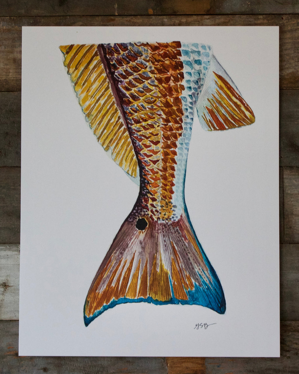 Redfish Print
