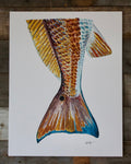 Redfish Print