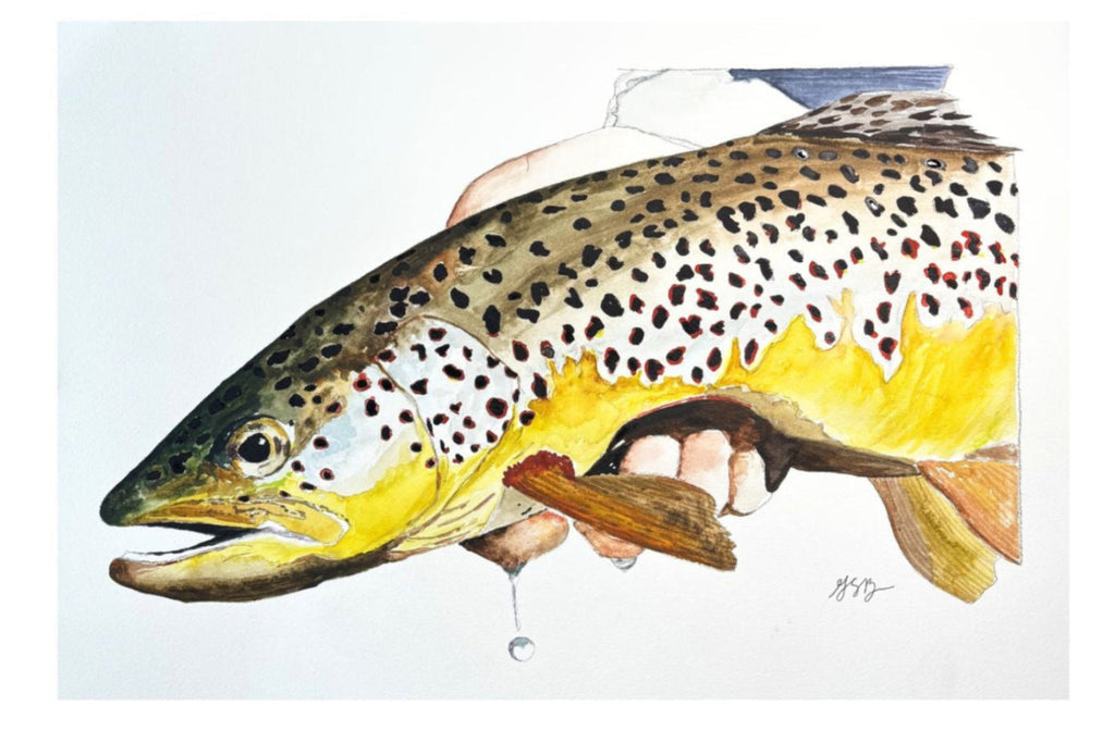 Brown Trout Commission