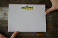 Brown Trout Notepad