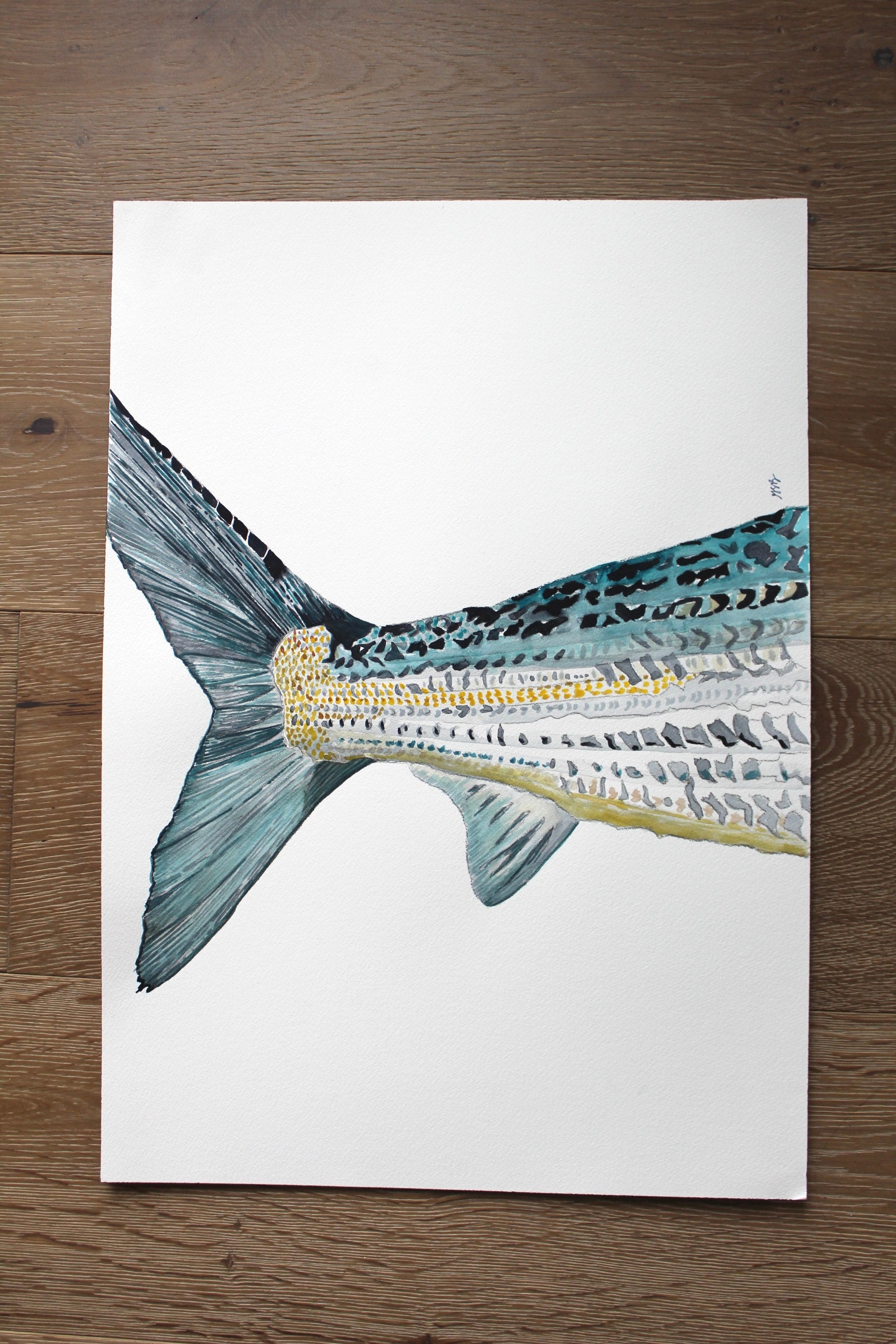 Bonefish Commission #2