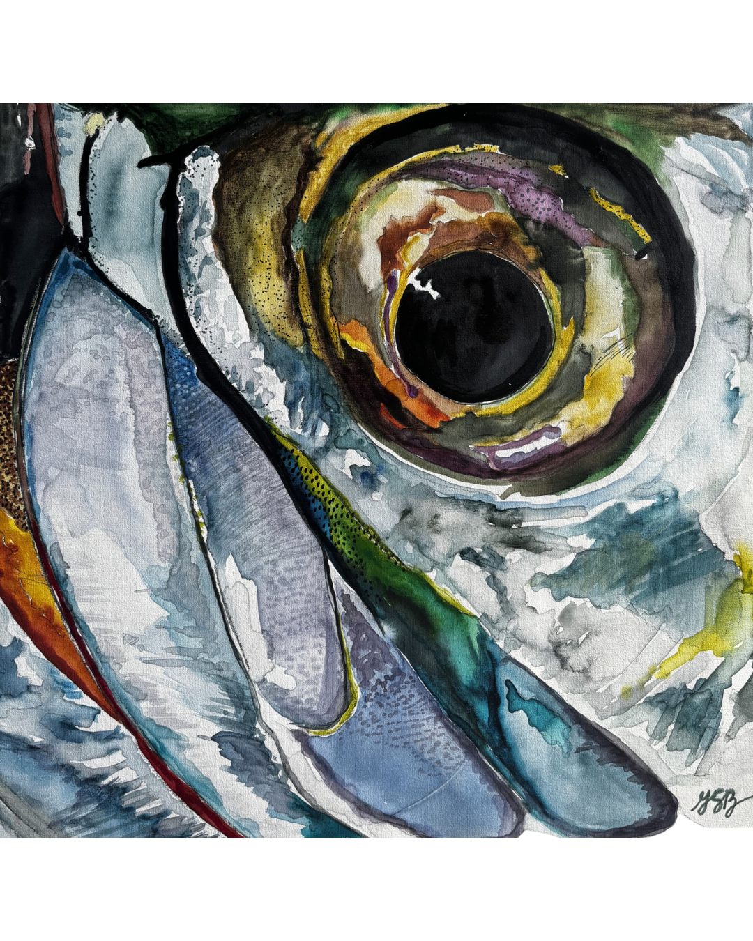 Tarpon Eye Commission